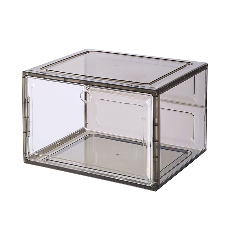 Black Transparent Shoe Box