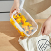 Plastic Preservation Box