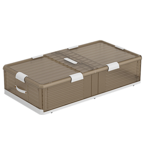 Container under Bed