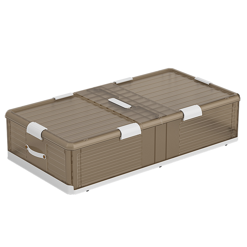 Container under Bed