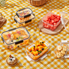 Plastic Preservation Box